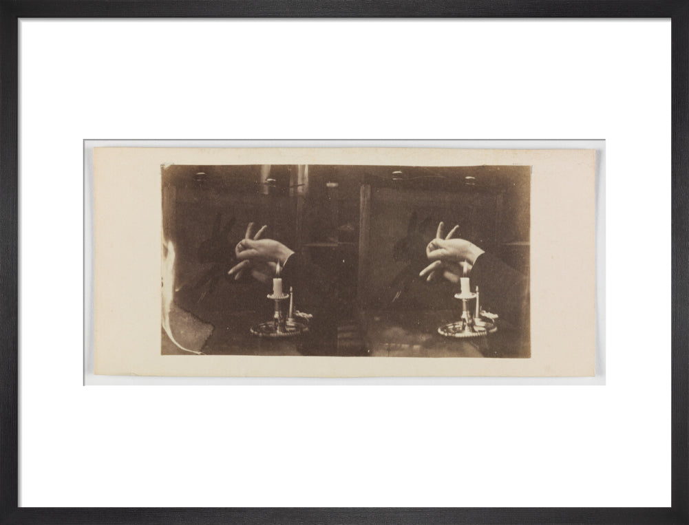 Shadowgraph of a rabbit by candlelight art print medium black Art Print - Science Museum Shop