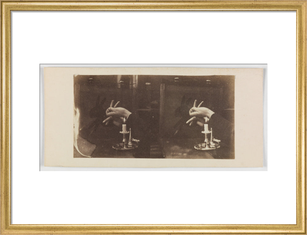 Shadowgraph of a rabbit by candlelight art print medium gold Art Print - Science Museum Shop