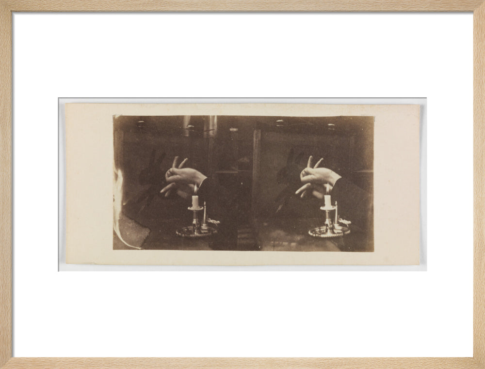 Shadowgraph of a rabbit by candlelight art print medium natural Art Print - Science Museum Shop