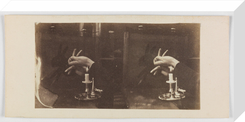 Shadowgraph of a rabbit by candlelight stretched canvas medium none Art Print - Science Museum Shop