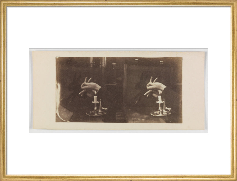 Shadowgraph of a rabbit by candlelight art print large gold Art Print - Science Museum Shop