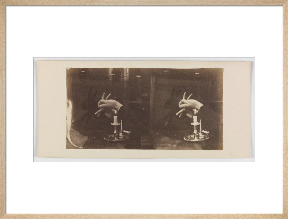 Shadowgraph of a rabbit by candlelight art print large natural Art Print - Science Museum Shop