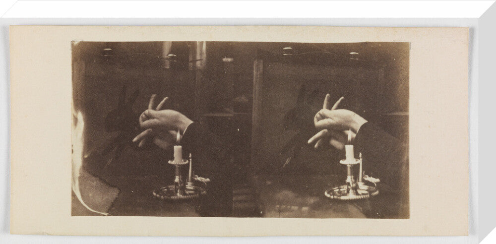 Shadowgraph of a rabbit by candlelight stretched canvas large none Art Print - Science Museum Shop