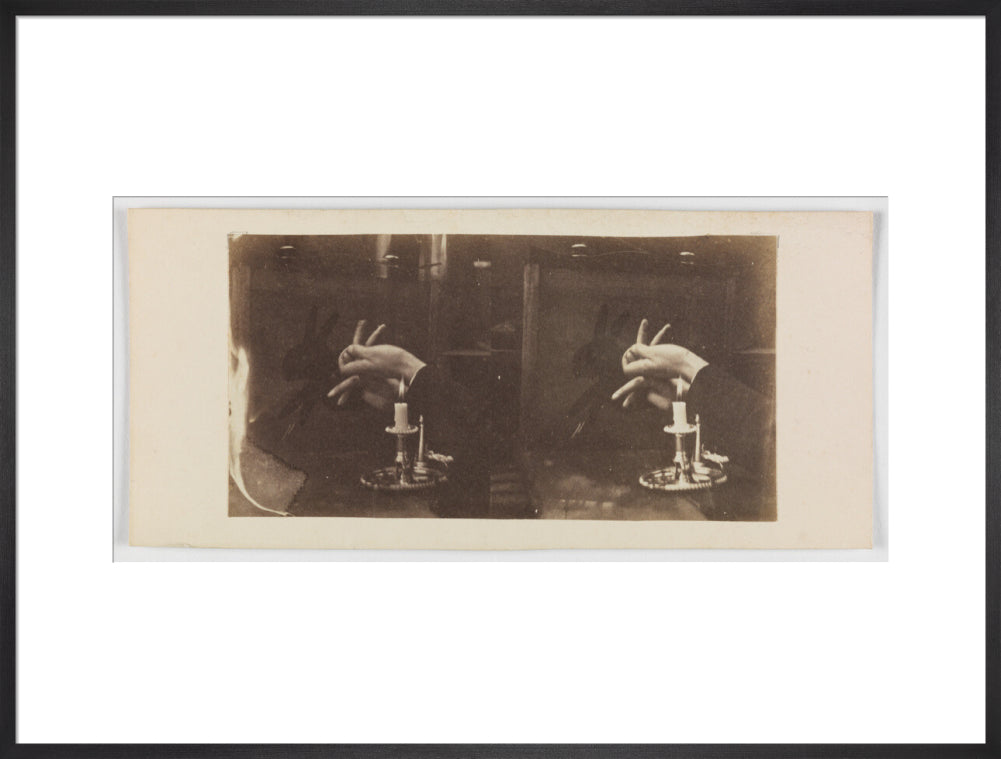 Shadowgraph of a rabbit by candlelight art print extra large black Art Print - Science Museum Shop