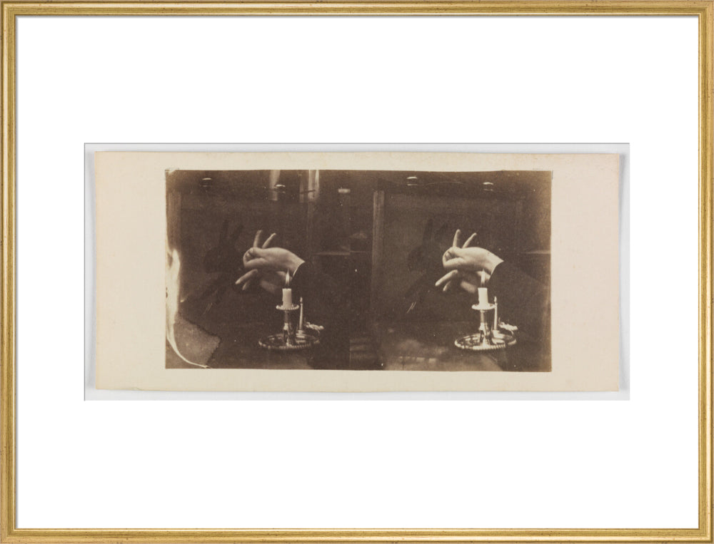 Shadowgraph of a rabbit by candlelight art print extra large gold Art Print - Science Museum Shop