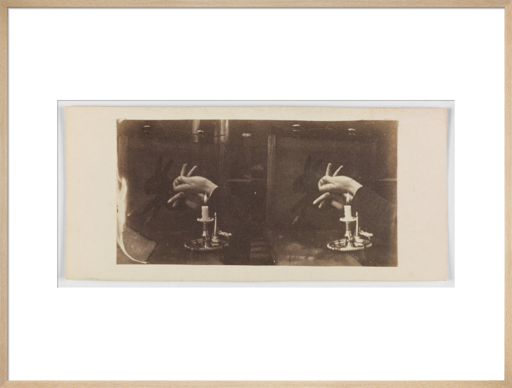 Shadowgraph of a rabbit by candlelight art print extra large natural Art Print - Science Museum Shop