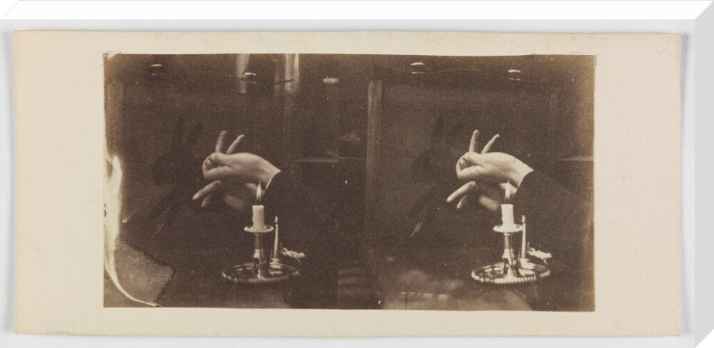 Shadowgraph of a rabbit by candlelight stretched canvas extra large none Art Print - Science Museum Shop