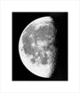 Transparency, 12x10 - Moon, last quarter. unstretched canvas small none Art Print - Science Museum Shop