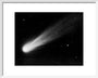 Comet 1911 IV (Brooks), November 3d 14h 50m art print small white Art Print - Science Museum Shop