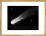 Comet 1911 IV (Brooks), November 3d 14h 50m art print medium gold Art Print - Science Museum Shop