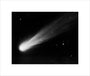 Comet 1911 IV (Brooks), November 3d 14h 50m unstretched canvas small none Art Print - Science Museum Shop