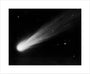 Comet 1911 IV (Brooks), November 3d 14h 50m unstretched canvas medium none Art Print - Science Museum Shop