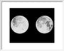 2 photographs of the moon art print small white Art Print - Science Museum Shop