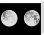 2 photographs of the moon stretched canvas small none Art Print - Science Museum Shop