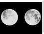 2 photographs of the moon stretched canvas medium none Art Print - Science Museum Shop