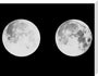 2 photographs of the moon stretched canvas large none Art Print - Science Museum Shop