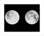 2 photographs of the moon unstretched canvas medium none Art Print - Science Museum Shop