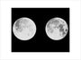 2 photographs of the moon art print large none Art Print - Science Museum Shop
