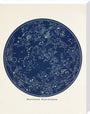 Northern Hemisphere: A Handbook and Atlas of Astronomy stretched canvas large none Art Print - Science Museum Shop