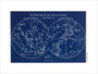 Position of the Constellations 14,700 years ago: A Handbook and Atlas of Astronomy art print medium none Art Print - Science Museum Shop