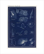 Nebulae: A Handbook and Atlas of Astronomy art print extra small none Art Print - Science Museum Shop