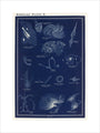 Nebulae: A Handbook and Atlas of Astronomy unstretched canvas medium none Art Print - Science Museum Shop