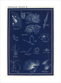 Nebulae: A Handbook and Atlas of Astronomy unstretched canvas large none Art Print - Science Museum Shop