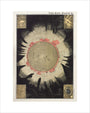 The Sun: A Handbook and Atlas of Astronomy art print extra small none Art Print - Science Museum Shop