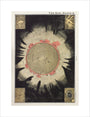 The Sun: A Handbook and Atlas of Astronomy unstretched canvas medium none Art Print - Science Museum Shop