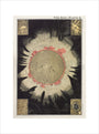 The Sun: A Handbook and Atlas of Astronomy art print large none Art Print - Science Museum Shop