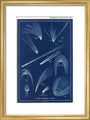 Comets: A Handbook and Atlas of Astronomy art print small gold Art Print - Science Museum Shop