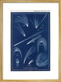 Comets: A Handbook and Atlas of Astronomy art print medium gold Art Print - Science Museum Shop