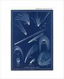 Comets: A Handbook and Atlas of Astronomy art print extra small none Art Print - Science Museum Shop