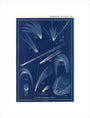 Comets: A Handbook and Atlas of Astronomy unstretched canvas small none Art Print - Science Museum Shop