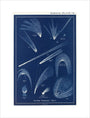 Comets: A Handbook and Atlas of Astronomy art print medium none Art Print - Science Museum Shop