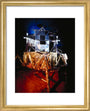 Apollo 11 lunar excursion module (LEM), Science Museum, London, c 1990. art print extra small gold Art Print - Science Museum Shop