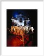 Apollo 11 lunar excursion module (LEM), Science Museum, London, c 1990. art print medium white Art Print - Science Museum Shop