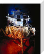 Apollo 11 lunar excursion module (LEM), Science Museum, London, c 1990. stretched canvas small none Art Print - Science Museum Shop