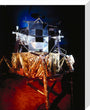 Apollo 11 lunar excursion module (LEM), Science Museum, London, c 1990. stretched canvas medium none Art Print - Science Museum Shop