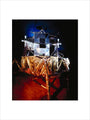 Apollo 11 lunar excursion module (LEM), Science Museum, London, c 1990. art print small none Art Print - Science Museum Shop