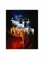 Apollo 11 lunar excursion module (LEM), Science Museum, London, c 1990. art print medium none Art Print - Science Museum Shop