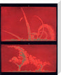 Solar prominences, Plate 9, 1872. stretched canvas medium none Art Print - Science Museum Shop