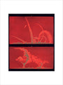 Solar prominences, Plate 9, 1872. art print small none Art Print - Science Museum Shop