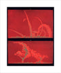 Solar prominences, Plate 9, 1872. unstretched canvas medium none Art Print - Science Museum Shop