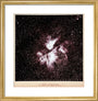 Argus, 1909. art print small gold Art Print - Science Museum Shop