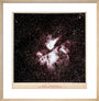 Argus, 1909. art print small natural Art Print - Science Museum Shop