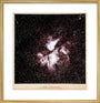 Argus, 1909. art print medium gold Art Print - Science Museum Shop