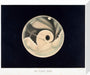 The planet Mars; observed 3 September 1877, by Trouvelot. stretched canvas medium none Art Print - Science Museum Shop