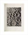 Plate XX, ''Overlapping Craters'' art print extra small none Art Print - Science Museum Shop