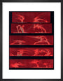 Solar prominences, Plate 8, 1872. art print extra small black Art Print - Science Museum Shop
